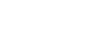 Startup and innovation partner